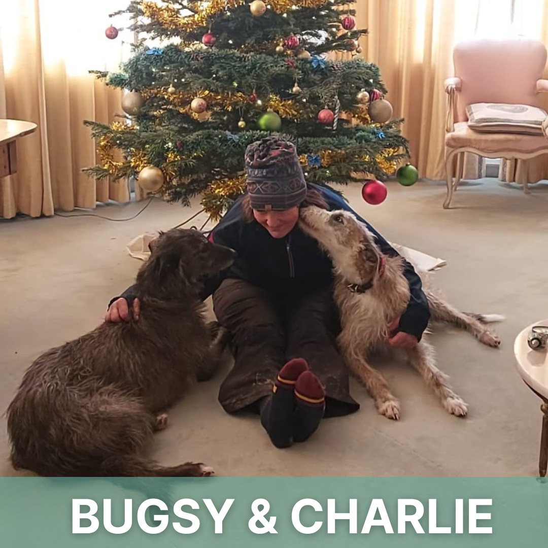 Bugsy's & Charlie's Story