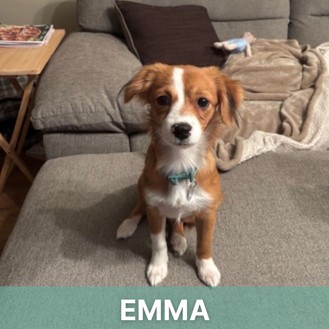 Emma's Story