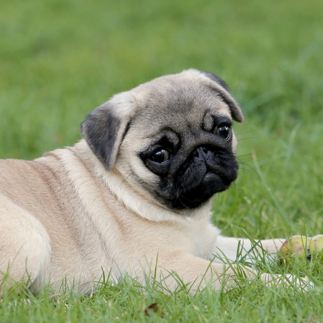 Gas and Bloating – The Hidden Discomfort