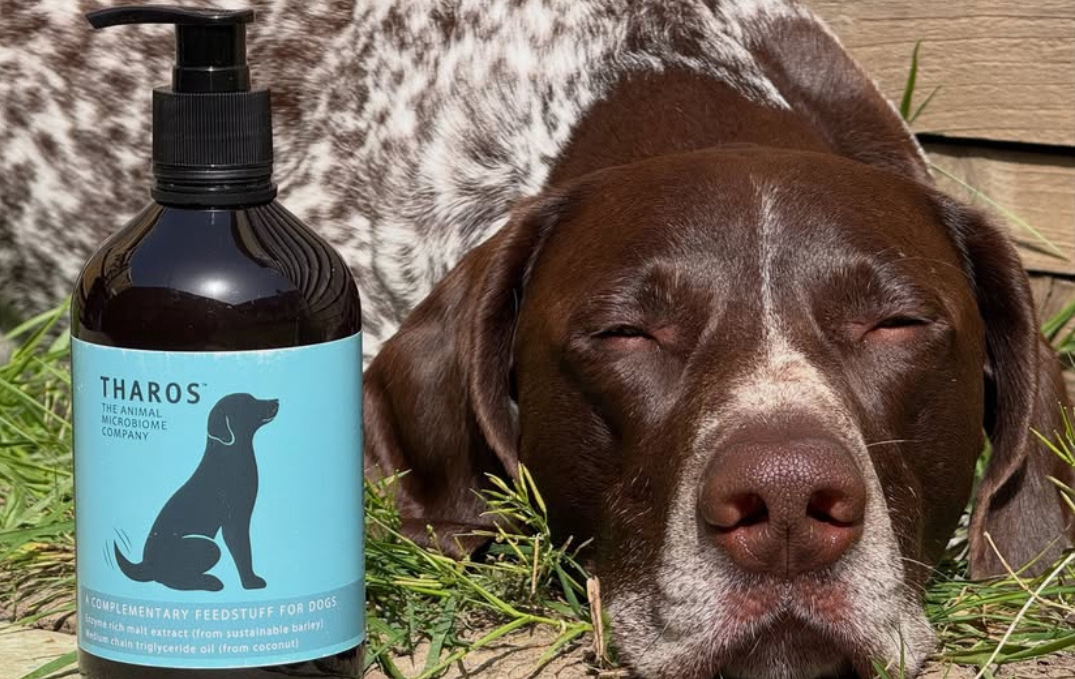 Britain’s largest professional trial of a canine gut supplement finds a calming effect that repeated, independently, twice