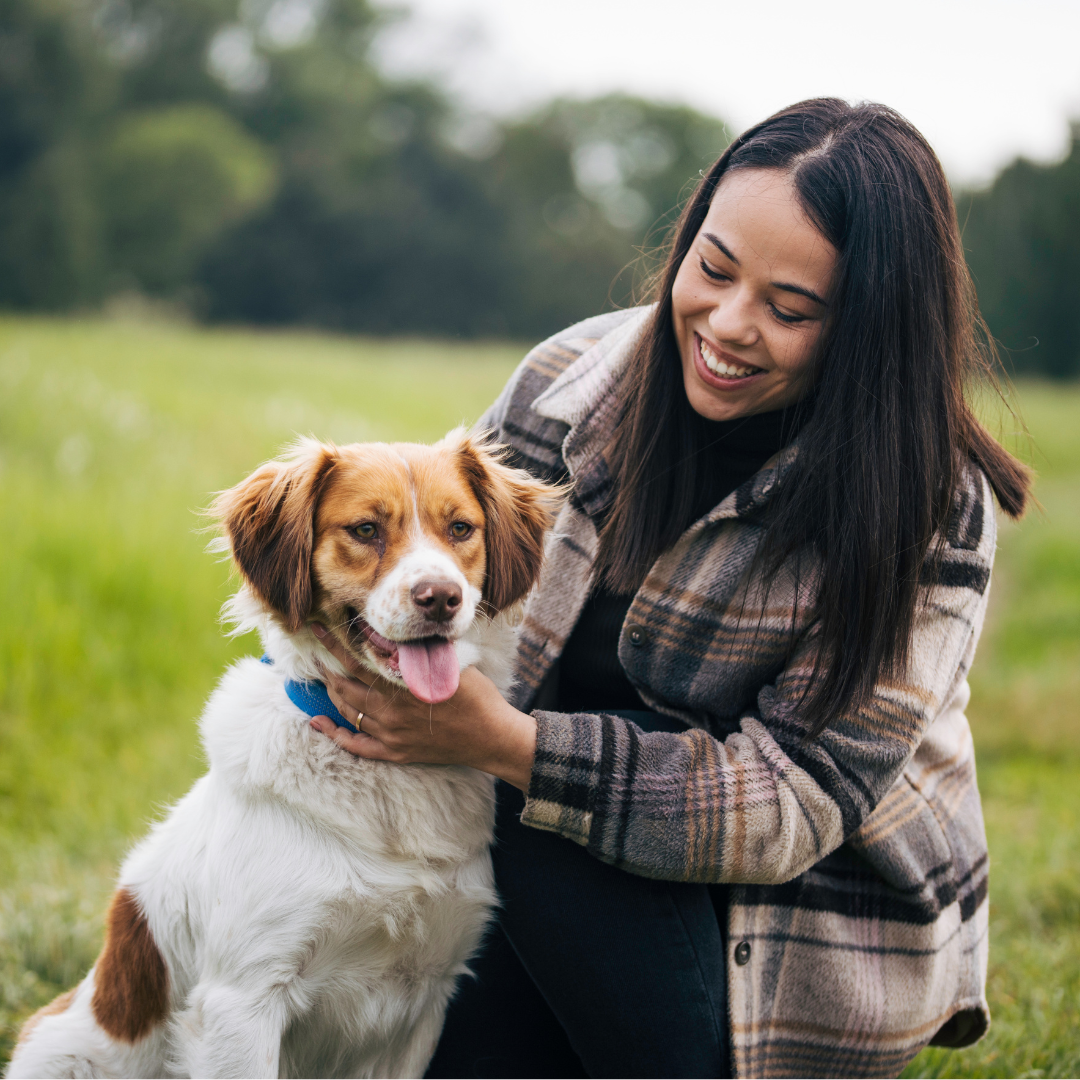 The Numbers Are In: What Our Largest Trial Yet Revealed About Calmer Dogs