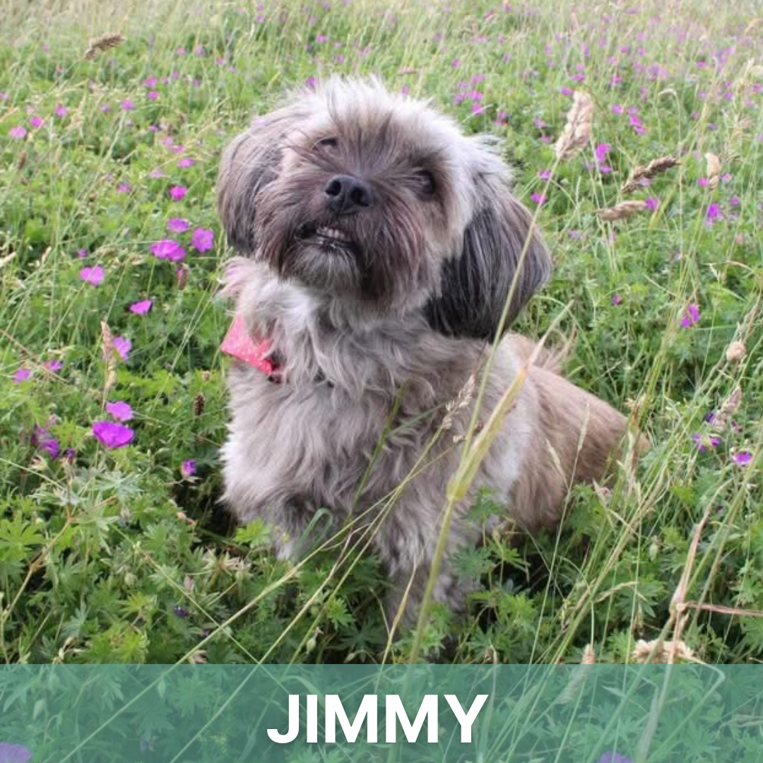 Jimmy's Story