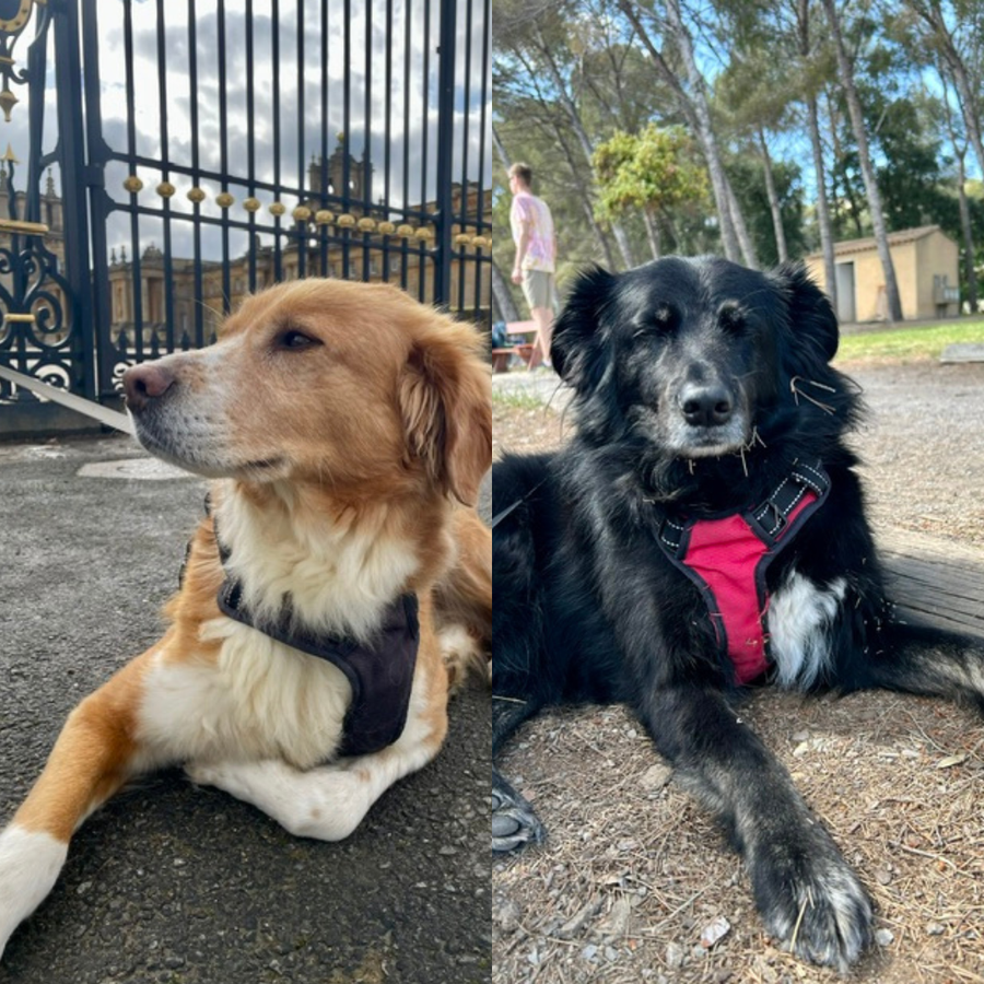Alfred and Nelly