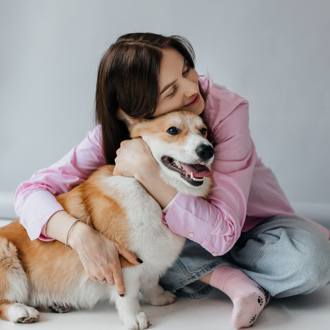 Why Does My Dog Smell? The Surprising Gut Health Connection to Yeasty Coats