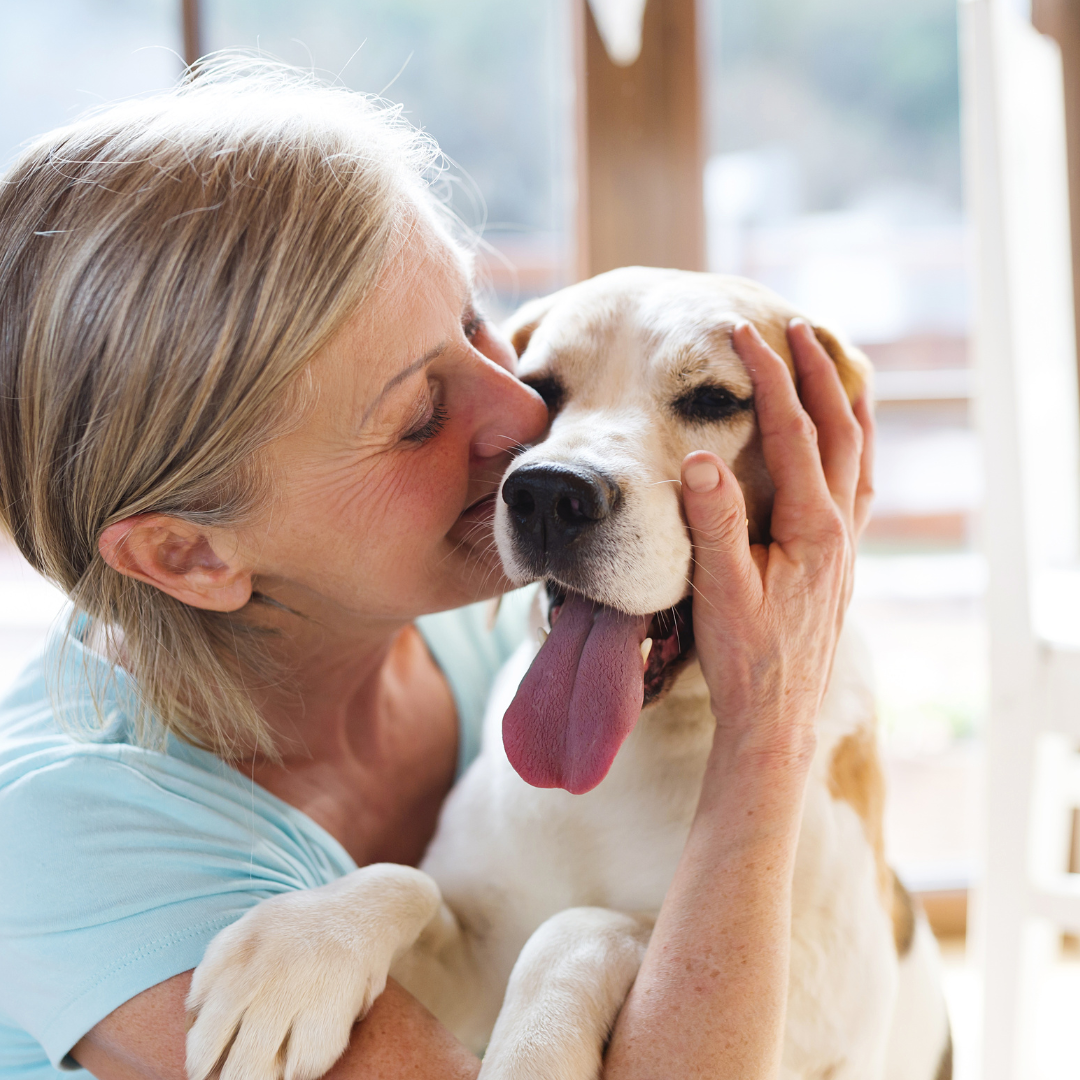 A Happy Dog Means a Happy Owner: Why Your Dog's Gut Health Matters More Than You Think
