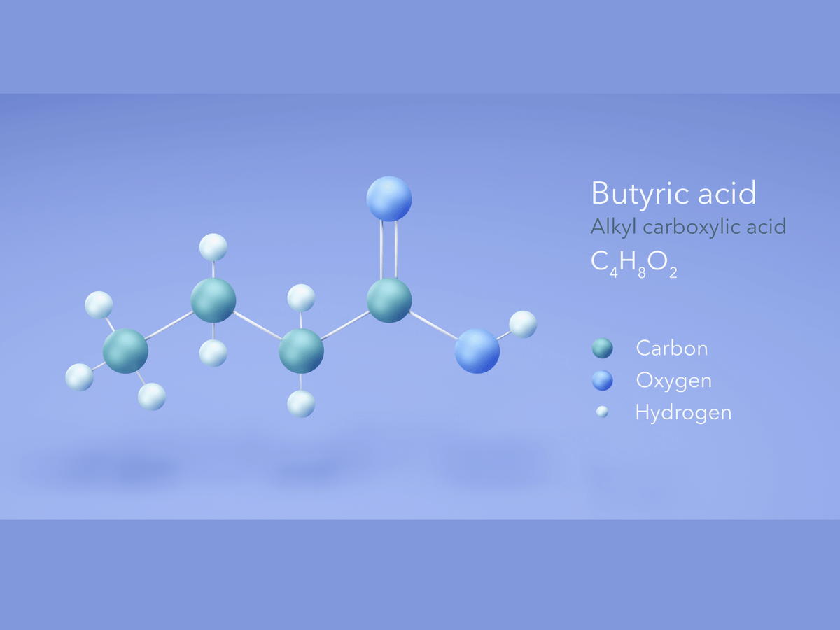 Short-Chain Fatty Acids: What Are They and Why Do They Matter?