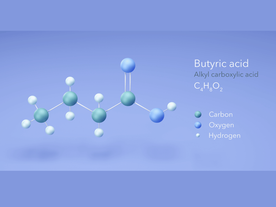 Short-Chain Fatty Acids: What Are They and Why Do They Matter?