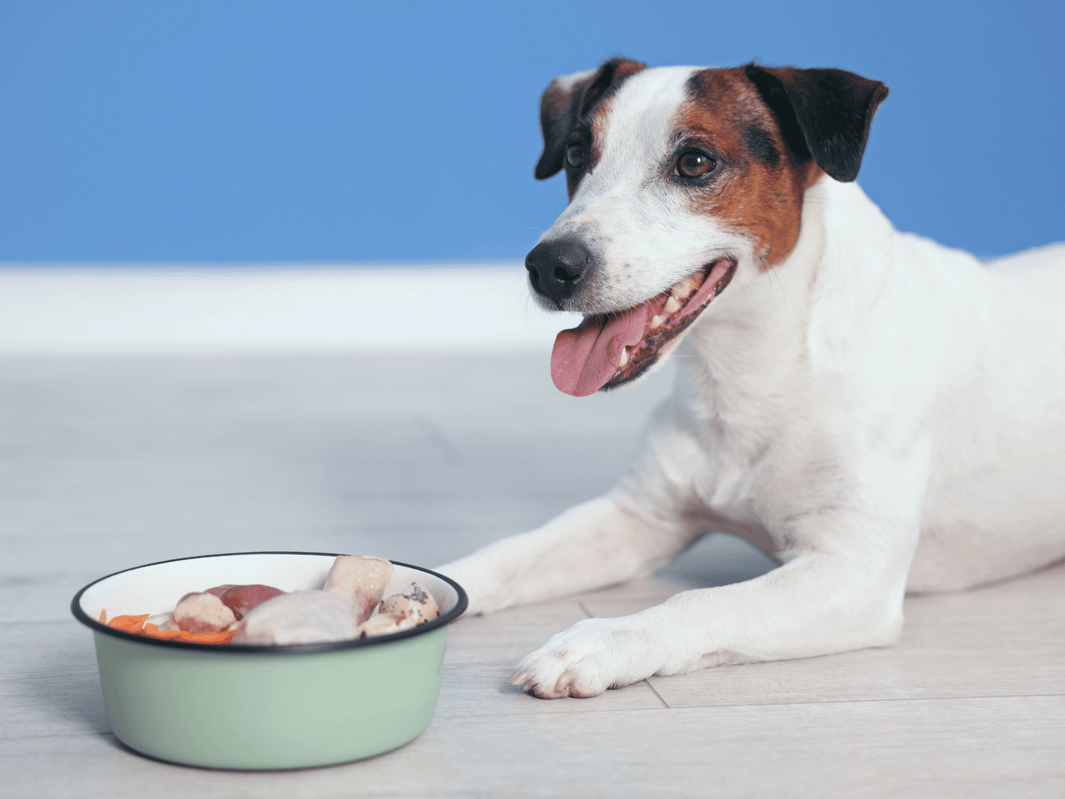 Microbiome Composition vs Function: What’s the Difference?