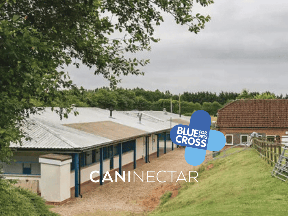 CaniNectar Research: Blue Cross Rescue Dog Trial