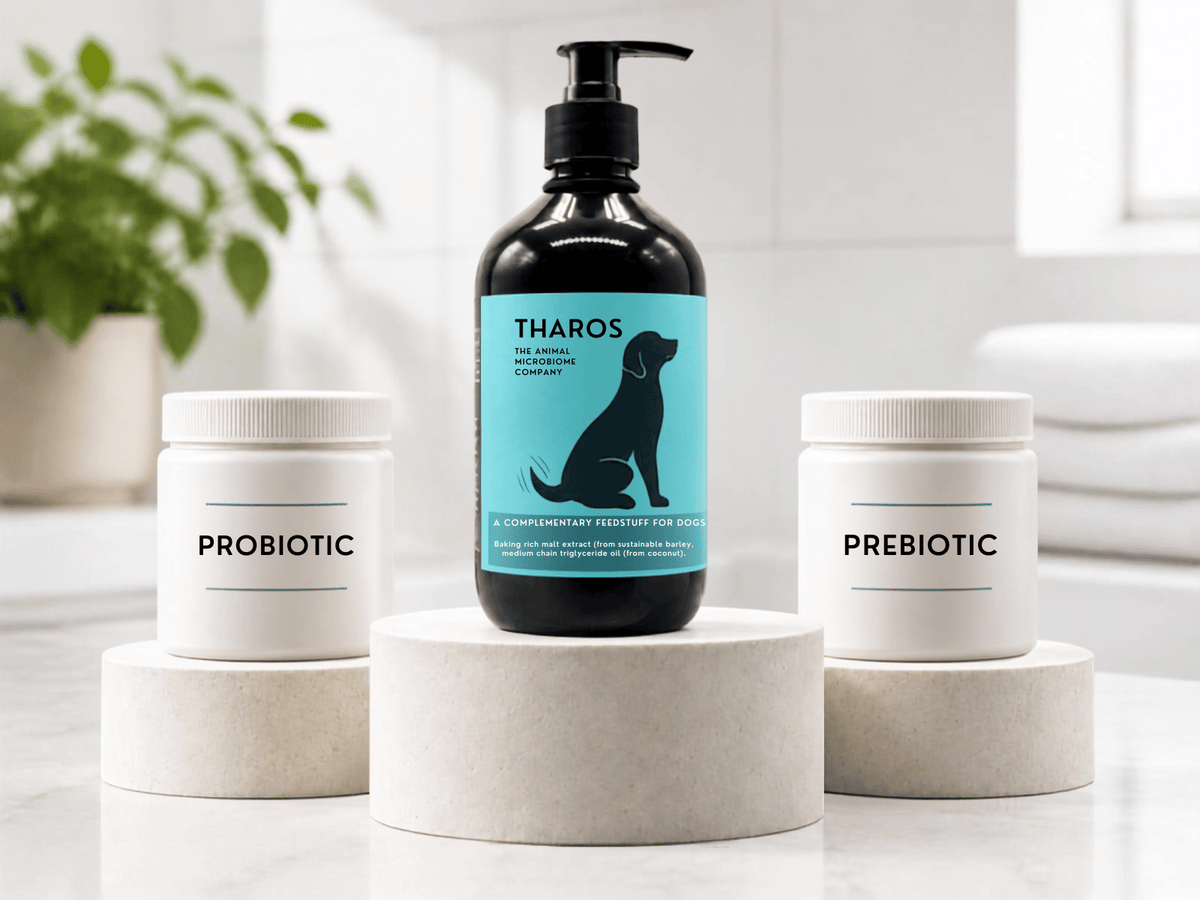 Anabiomics vs Probiotics vs Prebiotics: What’s the Difference?
