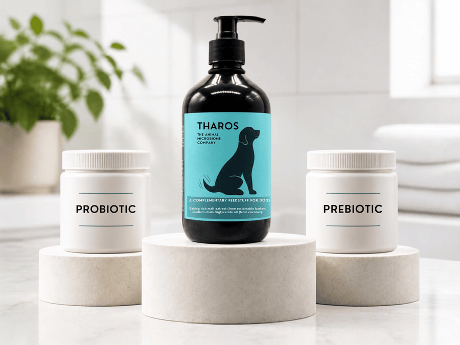 Anabiomics vs Probiotics vs Prebiotics: What’s the Difference?