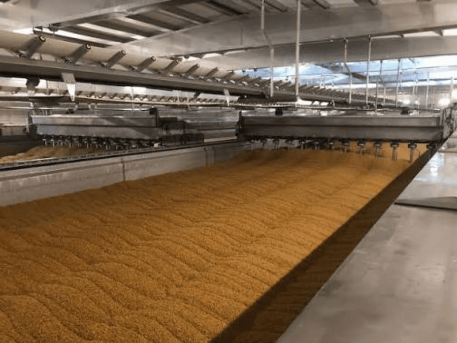 From Barley to Enzyme Rich Malt Extract: Why Malting Matters