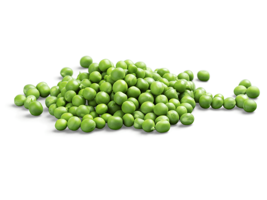 Is Pea Protein Good for Dogs?