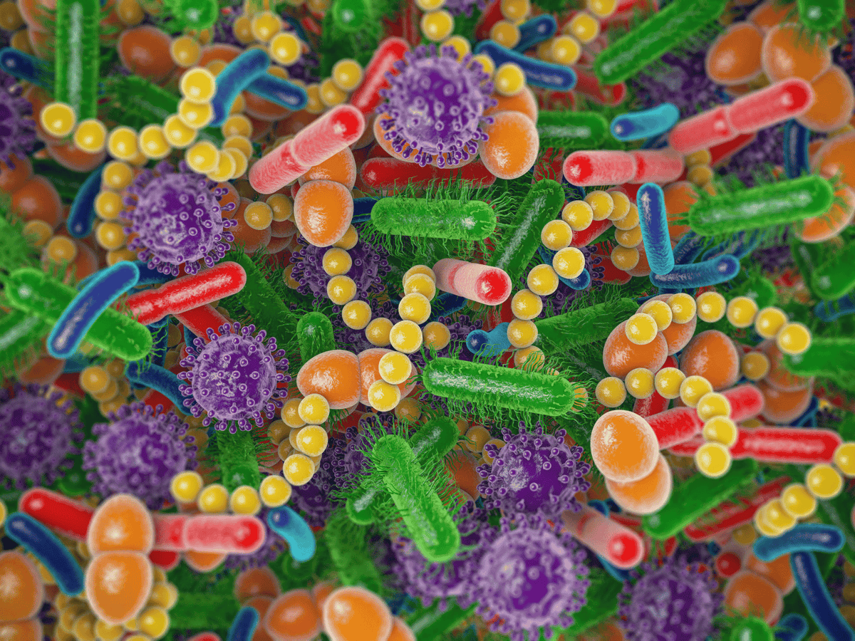 What Is the Canine Gut Microbiome?